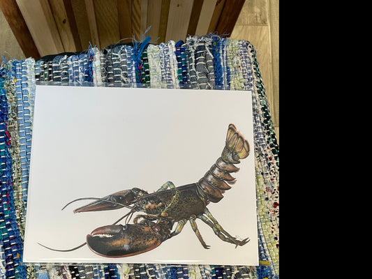 Gulf of Maine Species prints by Kelly Stuck