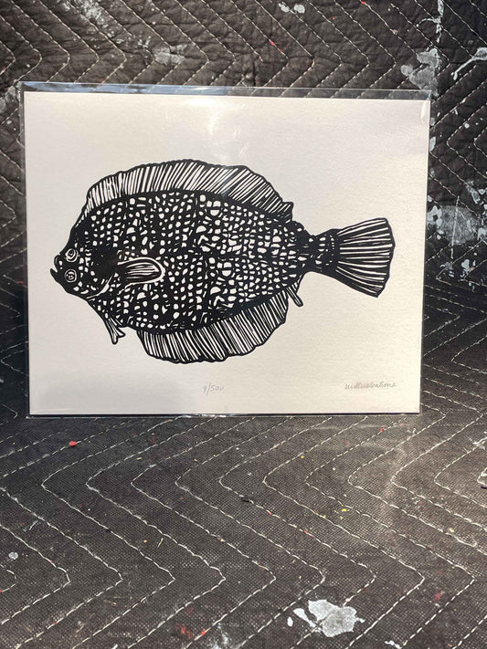 Willustrations Flounder 19/500 Print