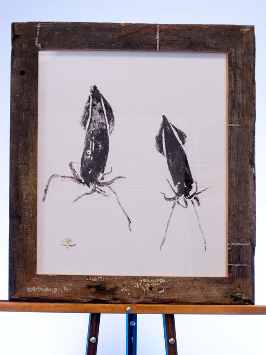 "Two Squid" original gyotaku print by Natty Graham