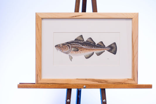 "Cod" original painting by Little Plover Studio