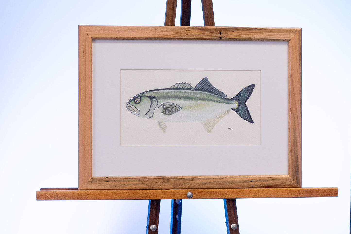 "Bluefish" original painting by Little Plover Studio